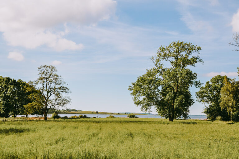 Kærgaard B&B Roskilde