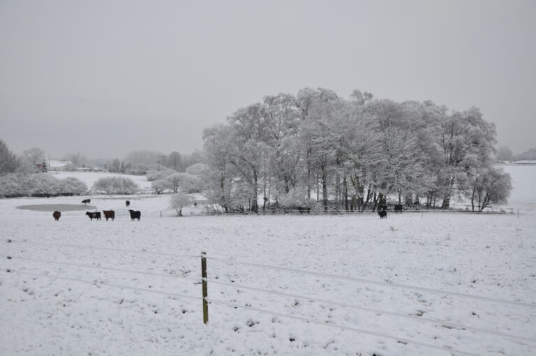 Kærgaard B&B Roskilde