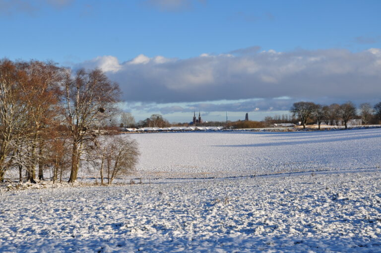 Kærgaard B&B Roskilde